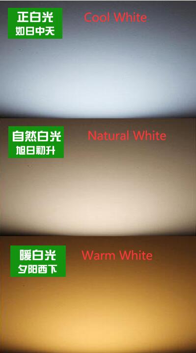 Color temperature of led light Color temperature of led light