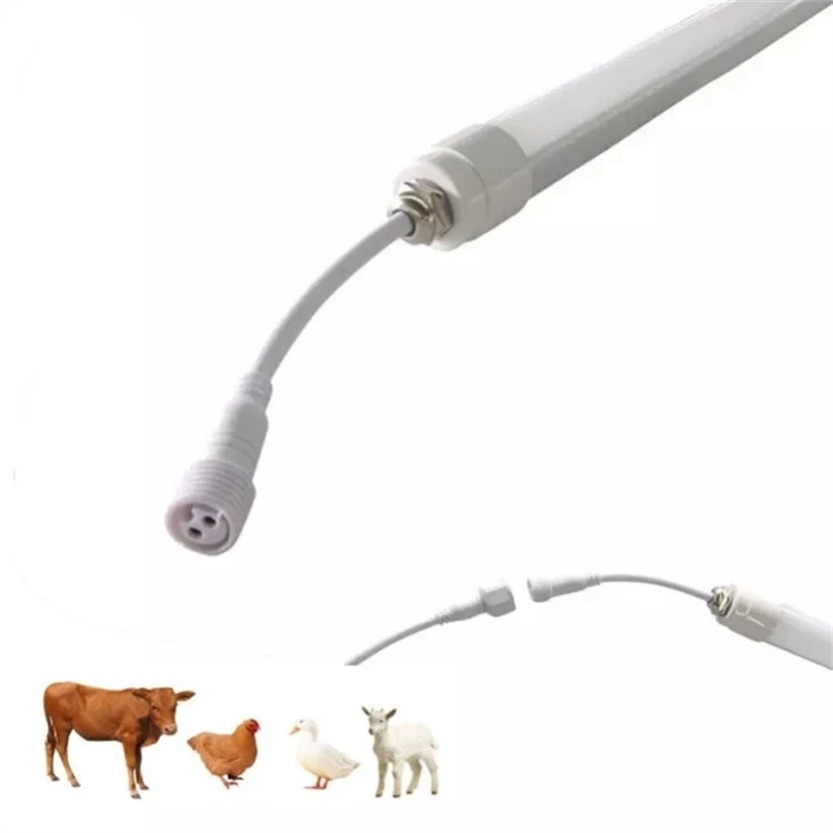 Ranching Lights (1)