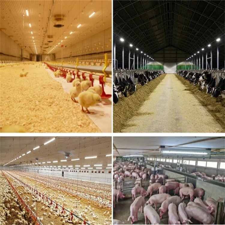Cow led lamp (6)