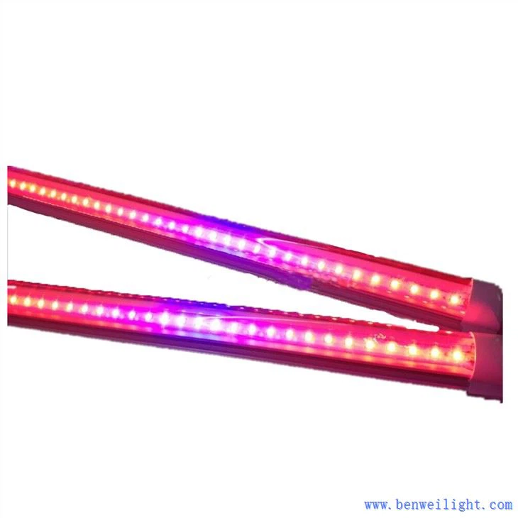 An féidir aon solas a úsáid mar sholas fás