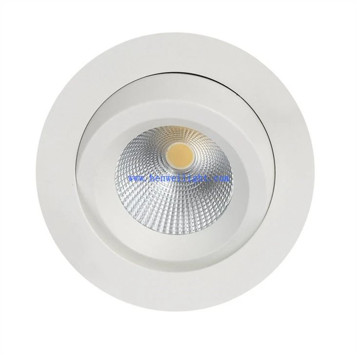 Soilse Faoi stiúir Siopa Downlight
