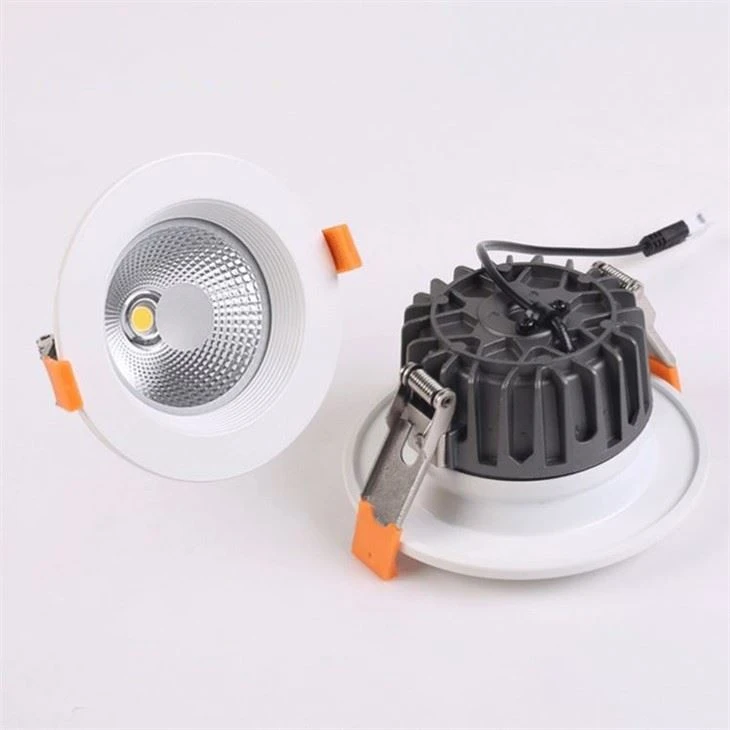 Downlights Inceptor
