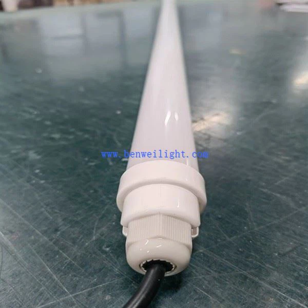 Córais Soilsithe Do Thithe Muc