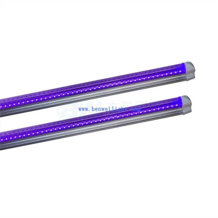 T8 Blacklight Tube