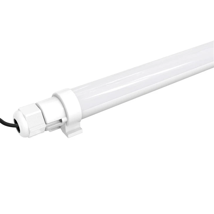 Soilsiú Éanlaithe 12v