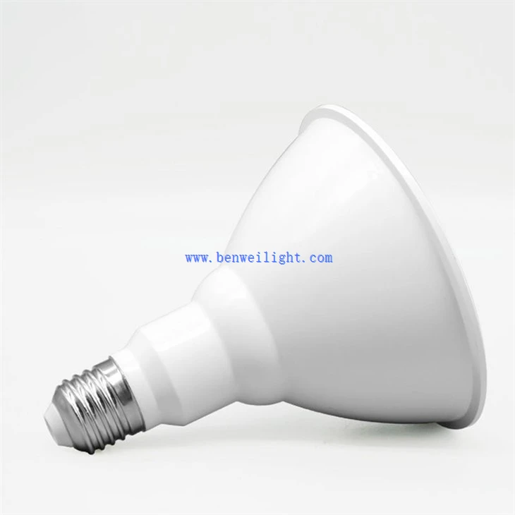 13W PAR38 LED BULB