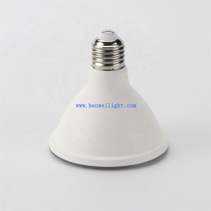 Dimmable LED PAR30 Solas