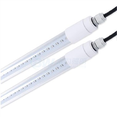 Soilsiú LED Feirme Éanlaithe