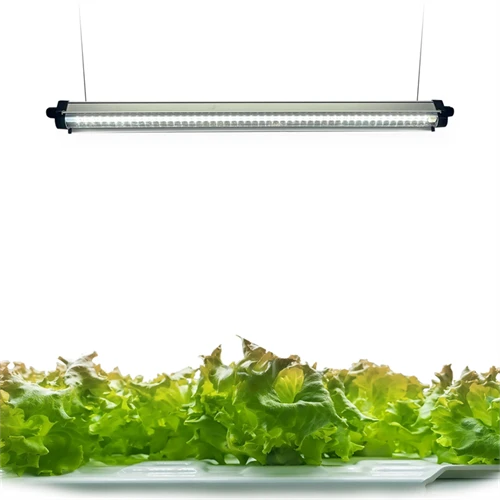 FloraFlare Grow Light