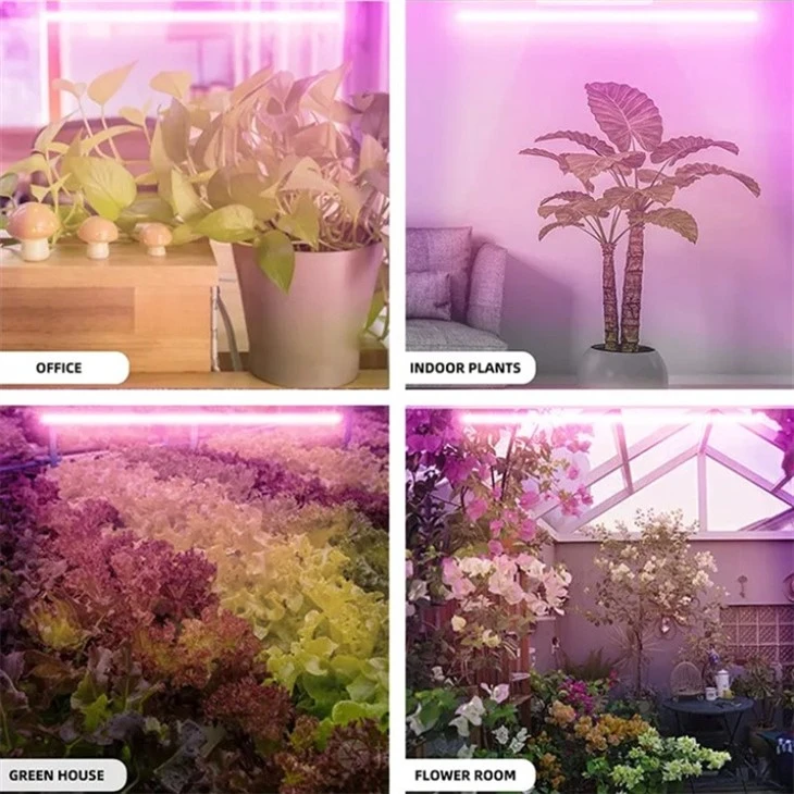 Grow Lights For Houseplants factory