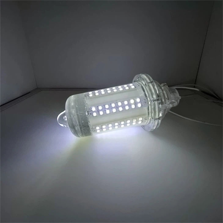 Ard-Solas Scuid LED Intumtha Ard-chumhachta - 12V DC, IP68 Rátáilte