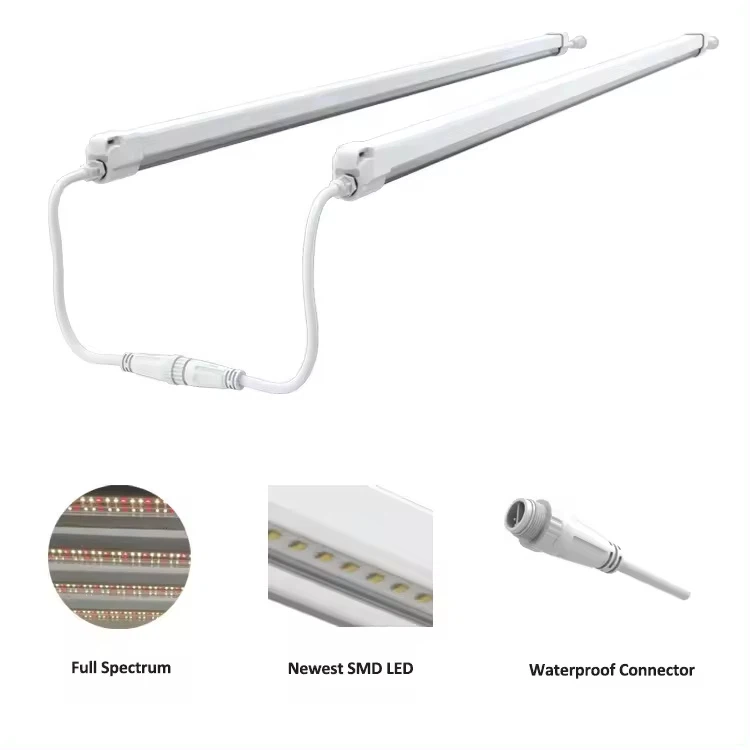 product-750-750 product-750-750