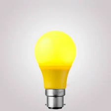 Bolgán Solais Le Blaosc Buí