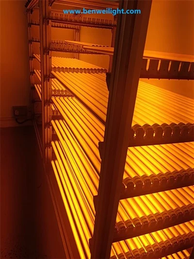 T8 Tube UV & Sciath Solas Gorm: Bloic Ghathanna Faoi 500nm