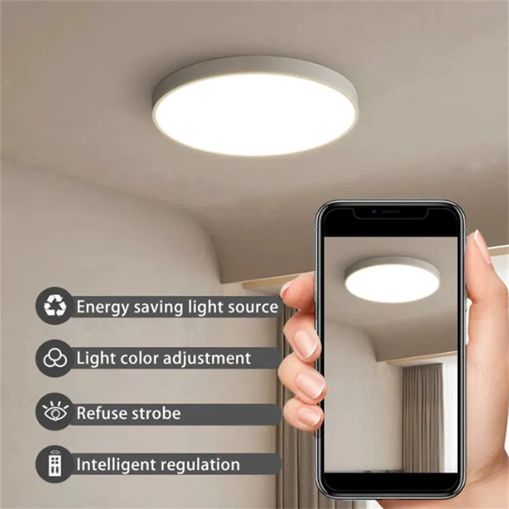 led ceiling light fixture