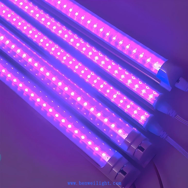 T5 T8 Led Light 365nm 395Nm Purple Uv Led Tube Light factory