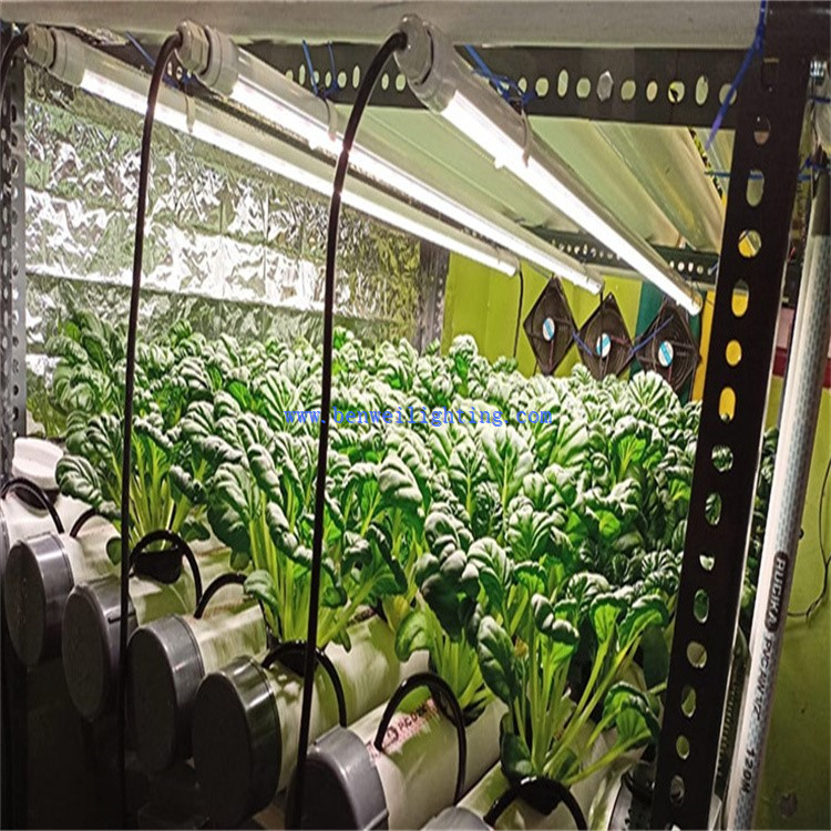 grow led tube installation 4 grow led tube installation 4